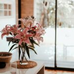 Houseplant