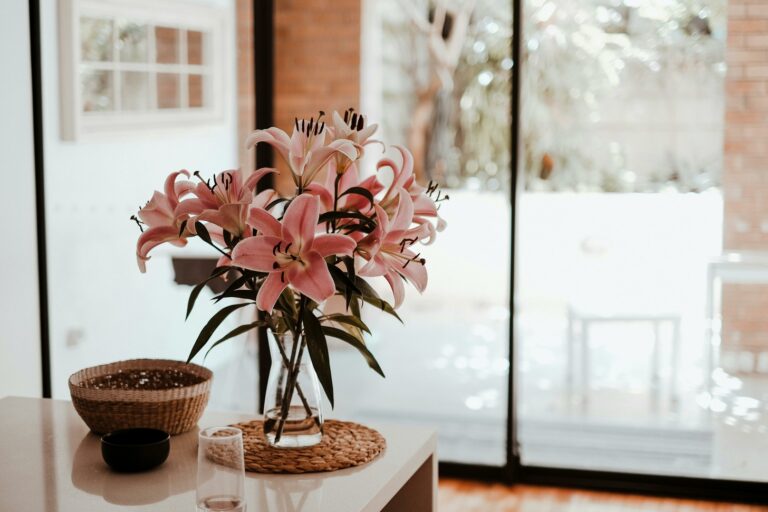 Houseplant